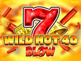 Wild Hot 40 Blow screenshot
